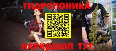 индика Комсомольск-на-Амуре