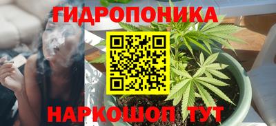 индика Комсомольск-на-Амуре