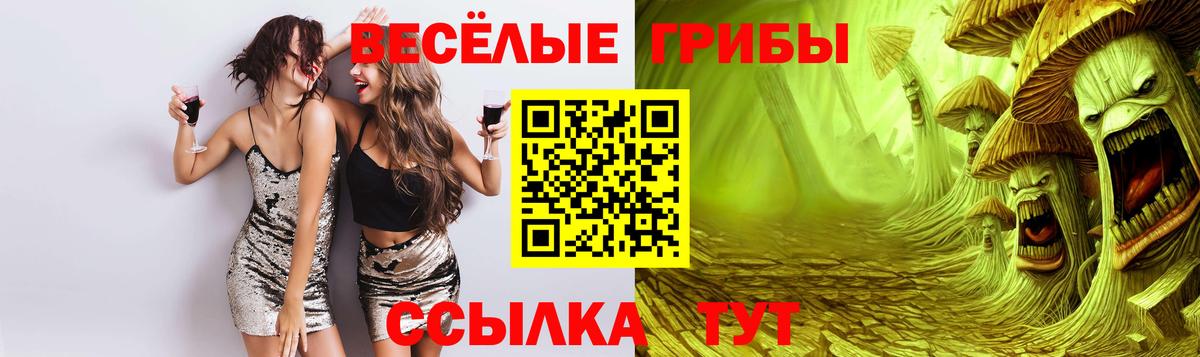 Галлюциногенные грибы Psilocybine cubensis Калач-на-Дону