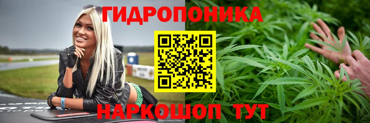 Канабис Bruce Banner  Конопля планчик  Марихуана планчик  Вход с VPN  Калач-на-Дону 